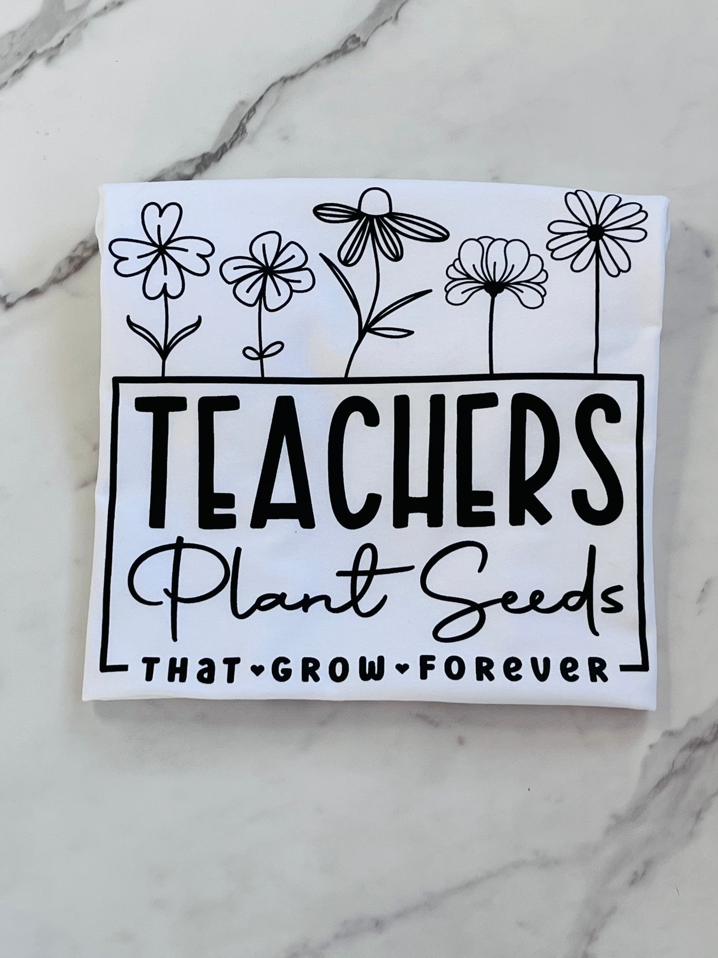Teacher's Plant Seeds