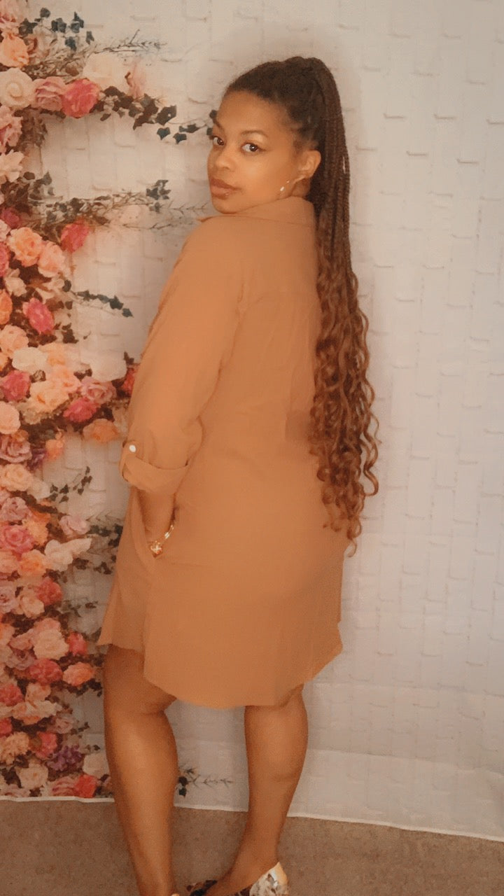 The Stephanie Shirt Dress (Coffee)