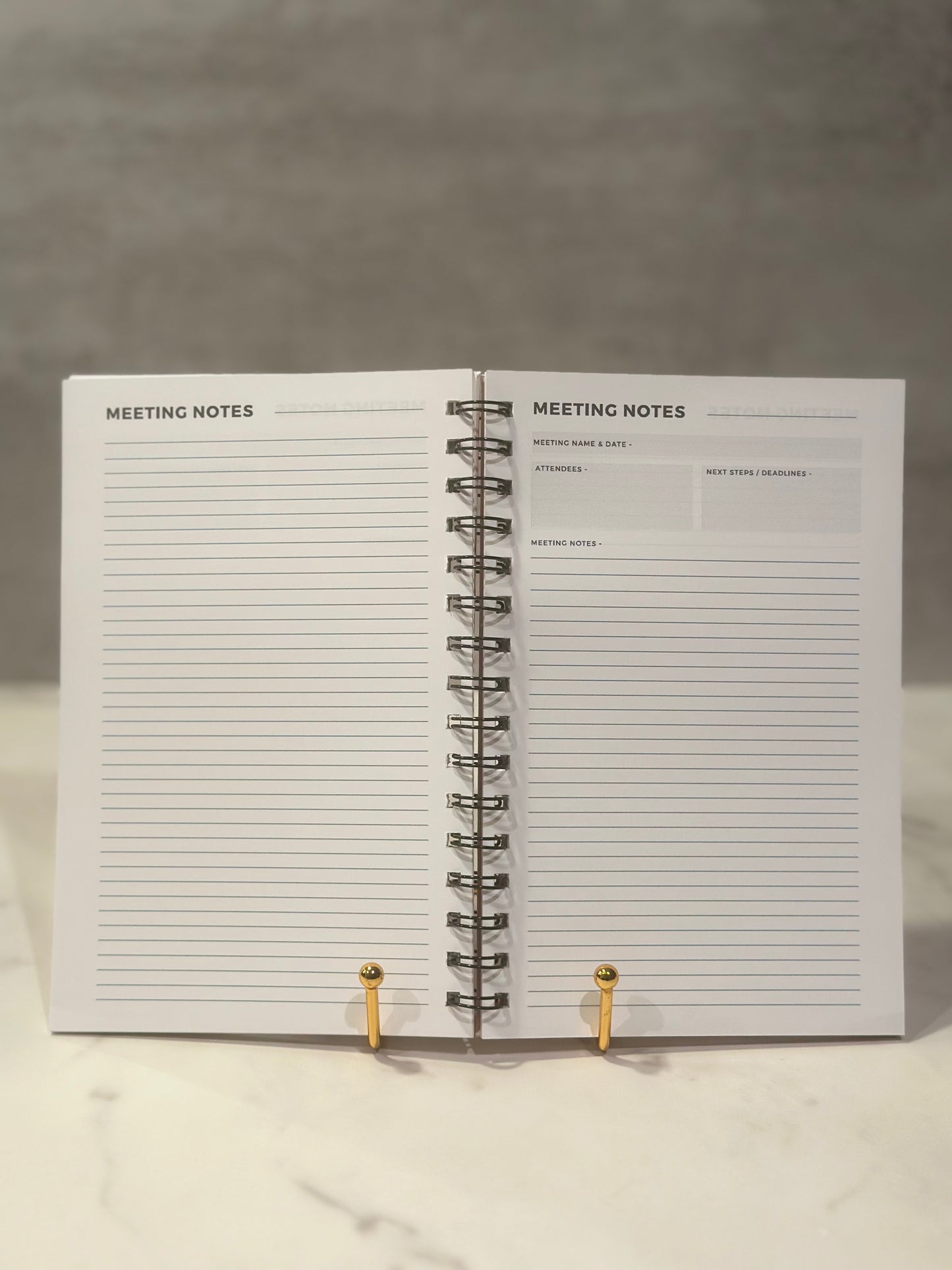 Meeting Notes