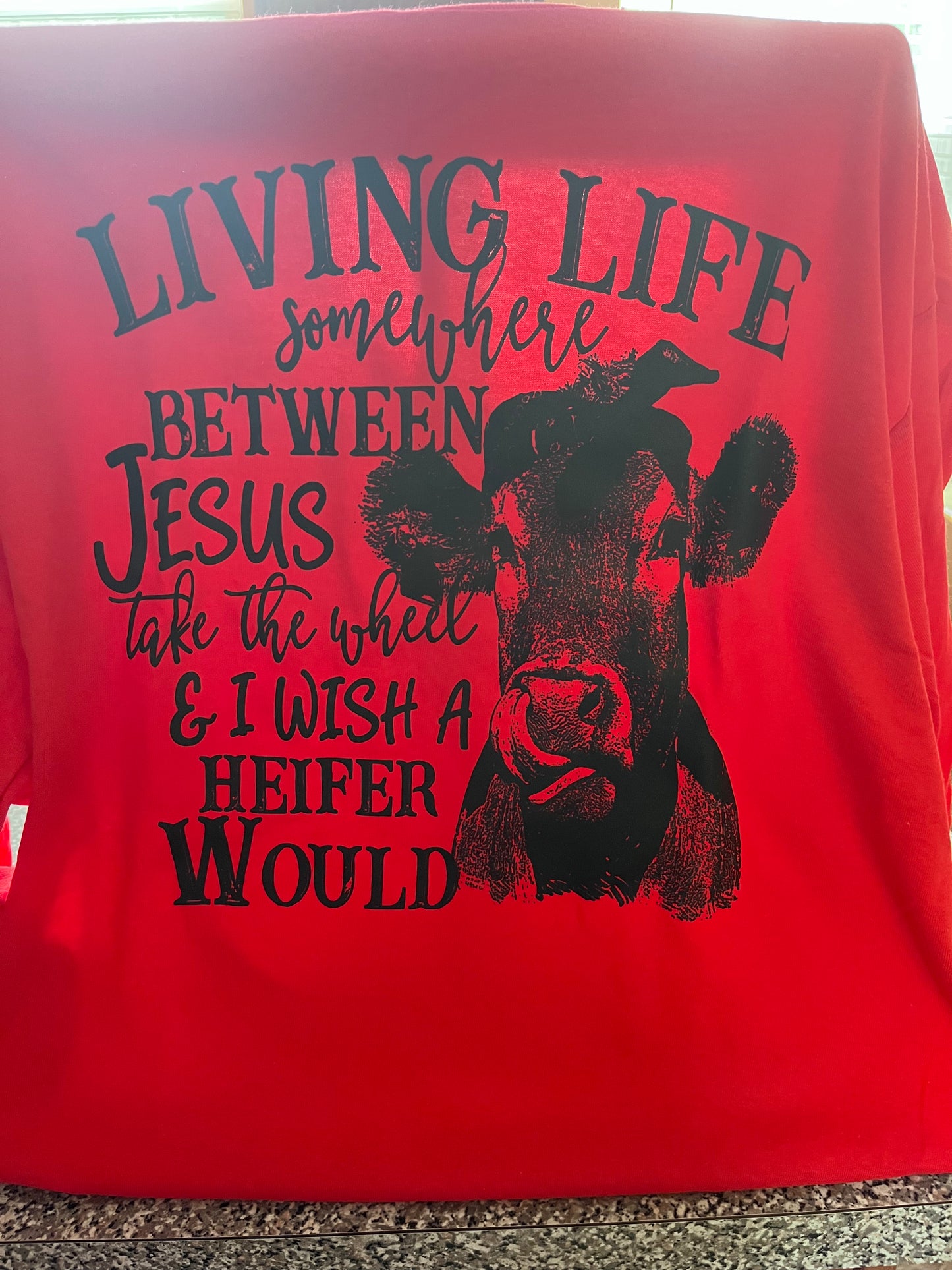 I Wish A Heifer Would